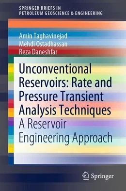 Abbildung von Taghavinejad / Ostadhassan | Unconventional Reservoirs: Rate and Pressure Transient Analysis Techniques | 1. Auflage | 2021 | beck-shop.de