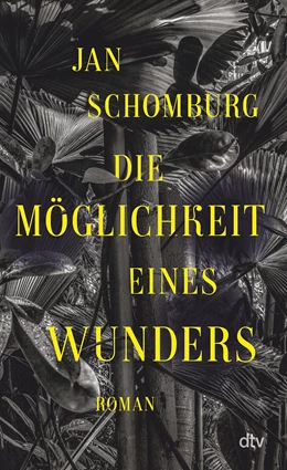 Abbildung von Schomburg | Die Möglichkeit eines Wunders | 1. Auflage | 2024 | beck-shop.de