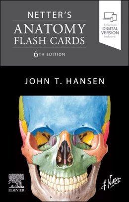 Abbildung von Hansen | Netter's Anatomy Flash Cards | 6. Auflage | 2022 | beck-shop.de