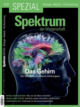 Abbildung von Spektrum Spezial - Das Gehirn | 1. Auflage | 2021 | beck-shop.de