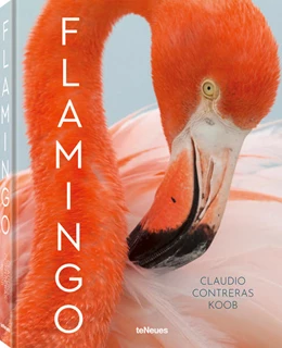 Abbildung von Contreras Koob | Flamingo | 1. Auflage | 2022 | beck-shop.de