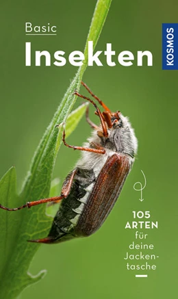 Abbildung von Gerstmeier | BASIC Insekten | 1. Auflage | 2022 | beck-shop.de