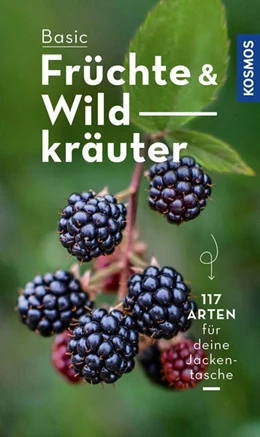 Abbildung von Dreyer | BASIC Früchte und Wildkräuter | 1. Auflage | 2022 | beck-shop.de