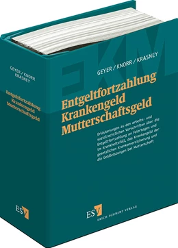 Abbildung von Geyer / Knorr | Entgeltfortzahlung – Krankengeld – Mutterschaftsgeld | 1. Auflage | 2023 | beck-shop.de