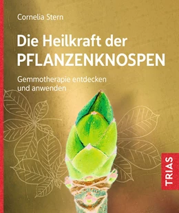 Abbildung von Stern | Die Heilkraft der Pflanzenknospen | 2. Auflage | 2022 | beck-shop.de