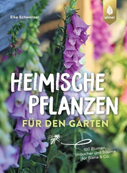 Abbildung von Schwarzer | Heimische Pflanzen für den Garten | 3. Auflage | 2022 | beck-shop.de