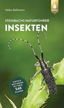 Abbildung von Bellmann | Steinbachs Naturführer Insekten | 3. Auflage | 2022 | beck-shop.de