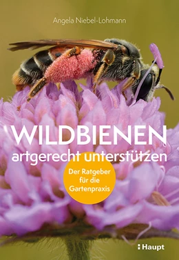 Abbildung von Niebel-Lohmann | Wildbienen artgerecht unterstützen | 1. Auflage | 2022 | beck-shop.de