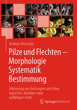 Abbildung von Bresinsky | Pilze und Flechten - Morphologie, Systematik, Bestimmung | 1. Auflage | 2021 | beck-shop.de
