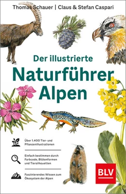 Abbildung von Schauer / Caspari | Der illustrierte Naturführer Alpen | 1. Auflage | 2022 | beck-shop.de