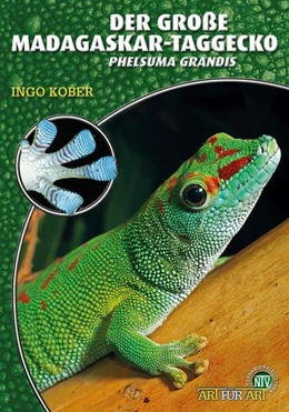 Abbildung von Kober | Der Große Madagaskar-Taggecko | 9. Auflage | 2023 | beck-shop.de