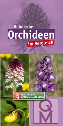 Abbildung von Quelle & Meyer Verlag | Heimische Orchideen | 1. Auflage | 2022 | beck-shop.de