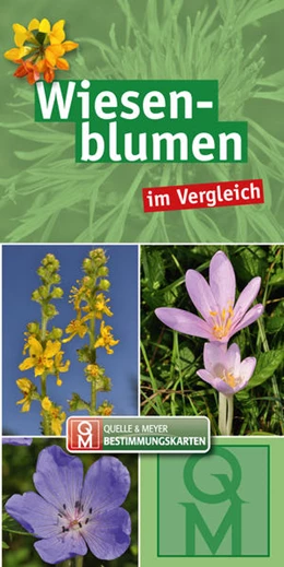 Abbildung von Quelle & Meyer Verlag | Wiesenblumen im Vergleich - 10er-Set | 1. Auflage | 2022 | beck-shop.de