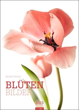 Abbildung von Pietrek / Weingarten | Blütenbilder Kalender 2023 | 1. Auflage | 2022 | beck-shop.de