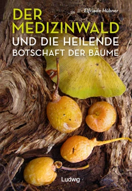 Abbildung von Hübner | Der Medizinwald und die heilende Botschaft der Bäume. | 1. Auflage | 2022 | beck-shop.de