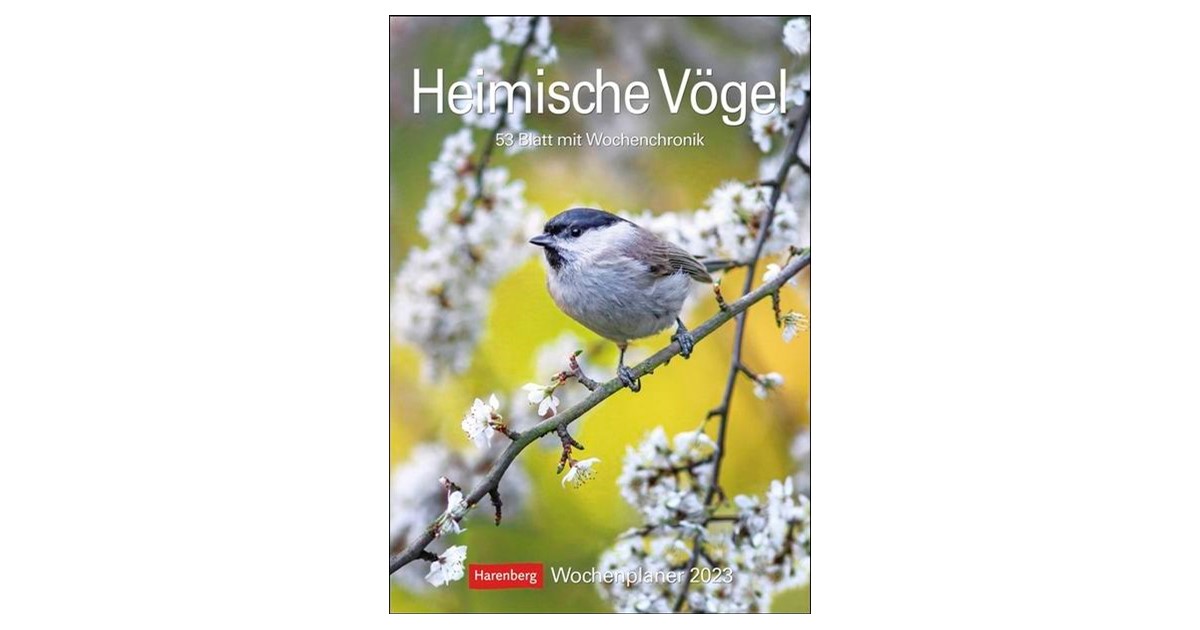 Harenberg Heimische Vögel Wochenplaner mit Wochenchronik 2021 53 Blatt 