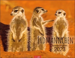 Abbildung von Hubert / Weingarten | Erdmännchen Kalender 2023 | 1. Auflage | 2022 | beck-shop.de