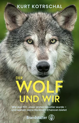 Abbildung von Kotrschal | Der Wolf und wir | 1. Auflage | 2022 | beck-shop.de