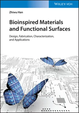 Abbildung von Han | Nature-Inspired Structured Functional Surfaces | 1. Auflage | 2022 | beck-shop.de