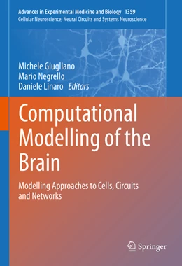 Abbildung von Giugliano / Negrello | Computational Modelling of the Brain | 1. Auflage | 2022 | beck-shop.de