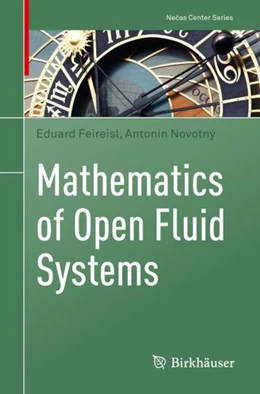 Abbildung von Feireisl / Novotný | Mathematics of Open Fluid Systems | 1. Auflage | 2022 | beck-shop.de