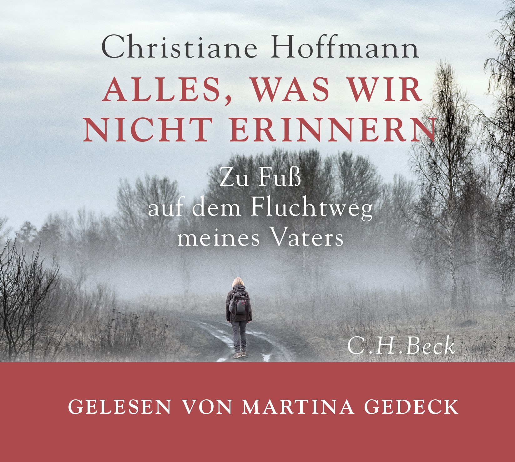 Cover: Hoffmann, Christiane, Alles, was wir nicht erinnern