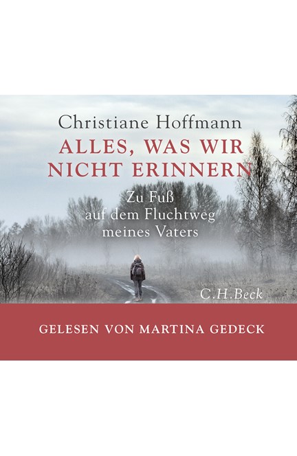 Cover: Christiane Hoffmann, Alles, was wir nicht erinnern