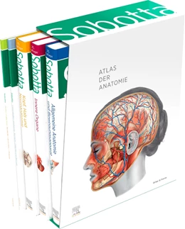 Abbildung von Paulsen / Waschke | Sobotta • Atlas der Anatomie | 25. Auflage | 2022 | beck-shop.de