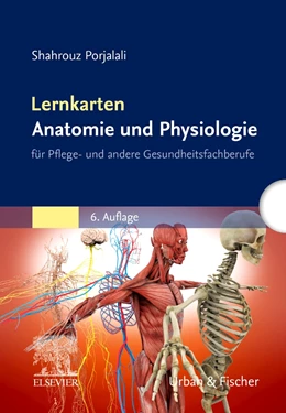 Abbildung von Porjalali | Lernkarten Anatomie und Physiologie | 6. Auflage | 2022 | beck-shop.de