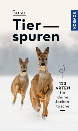 Abbildung von Hecker | BASIC Tierspuren | 1. Auflage | 2022 | beck-shop.de