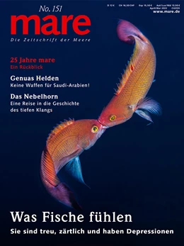 Abbildung von Gelpke | mare - Die Zeitschrift der Meere / No. 151 / Was Fische fühlen | 1. Auflage | 2022 | 151 | beck-shop.de