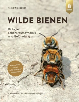 Abbildung von Wiesbauer | Wilde Bienen | 3. Auflage | 2023 | beck-shop.de