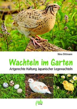 Abbildung von Dittmann | Wachteln im Garten | 1. Auflage | 2022 | beck-shop.de