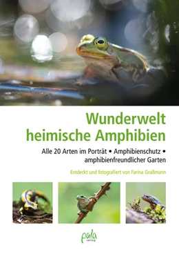 Abbildung von Graßmann | Wunderwelt heimische Amphibien | 1. Auflage | 2022 | beck-shop.de