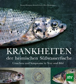 Abbildung von Weismann / Licek | Krankheiten der heimischen Süßwasserfische | 1. Auflage | 2023 | beck-shop.de