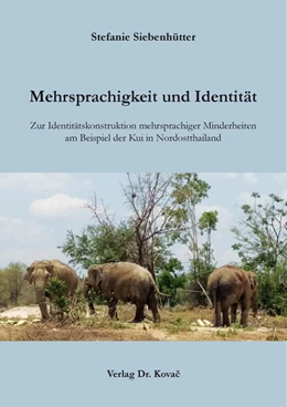 Abbildung von Siebenhütter | Mehrsprachigkeit und Identität | 1. Auflage | 2022 | 36 | beck-shop.de