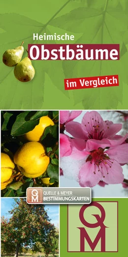 Abbildung von Quelle & Meyer Verlag | Heimische Obstbäume | 1. Auflage | 2023 | beck-shop.de