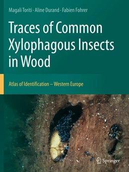 Abbildung von Toriti / Durand | Traces of Common Xylophagous Insects in Wood | 1. Auflage | 2022 | beck-shop.de