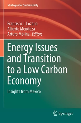 Abbildung von Lozano / Mendoza | Energy Issues and Transition to a Low Carbon Economy | 1. Auflage | 2022 | beck-shop.de