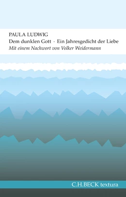 Abbildung von Ludwig | Dem dunklen Gott | 2. Auflage | 2015 | beck-shop.de