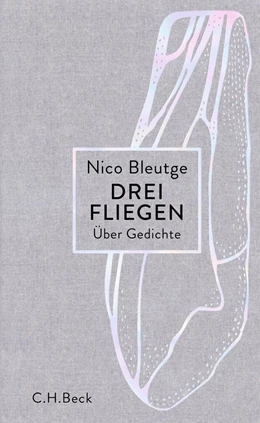 Abbildung von Bleutge | Drei Fliegen | 1. Auflage | 2020 | beck-shop.de