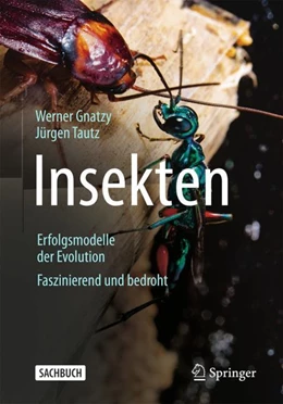 Abbildung von Tautz / Gnatzy | Insekten - Erfolgsmodelle der Evolution | 1. Auflage | 2023 | beck-shop.de