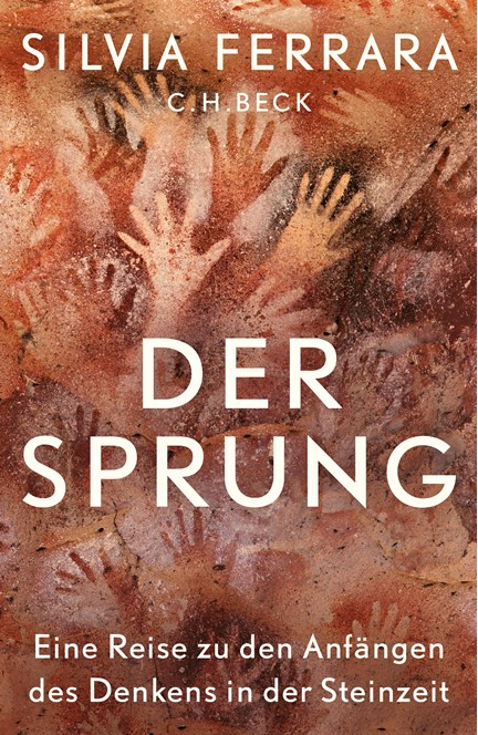 Cover: Silvia Ferrara, Der Sprung