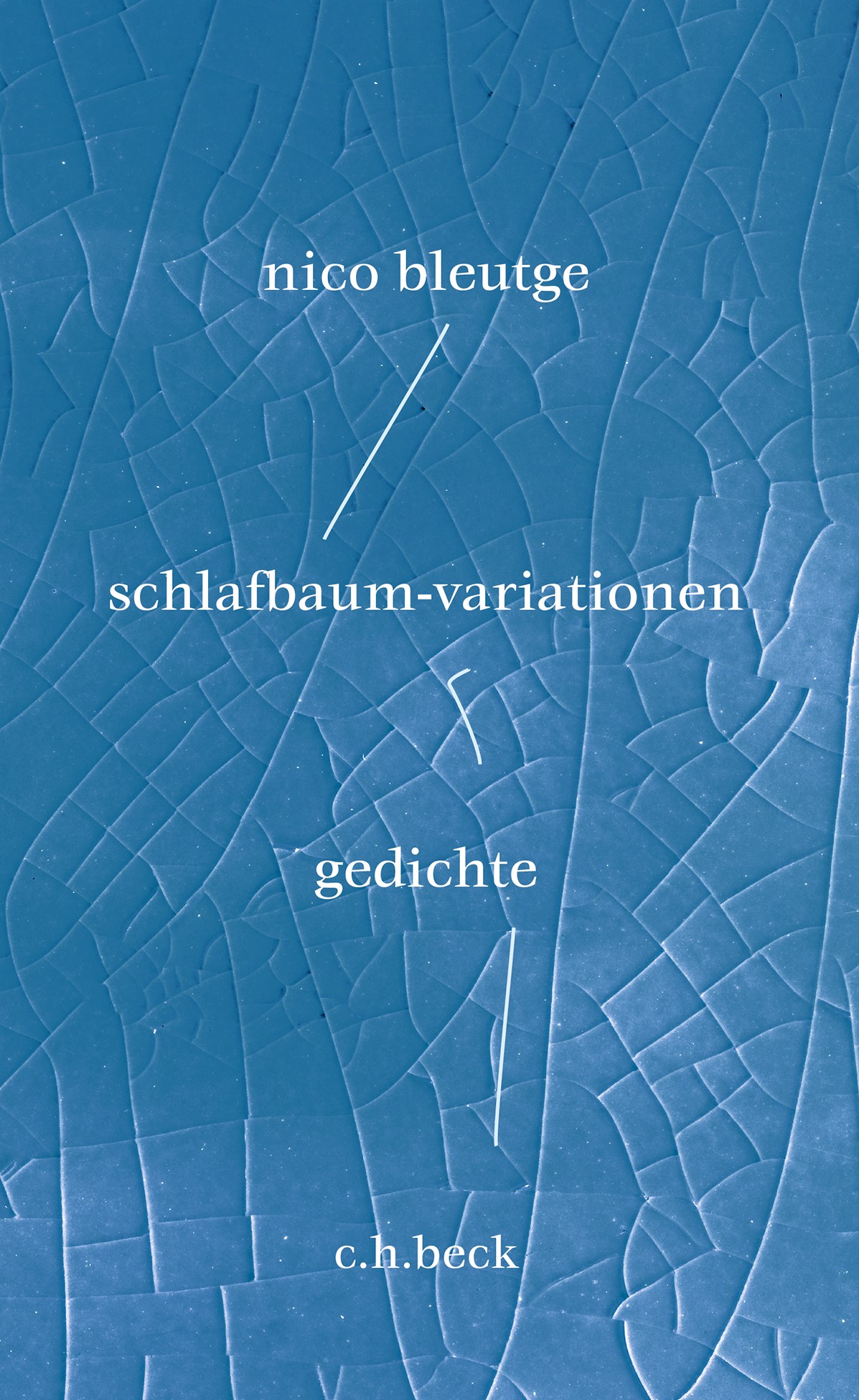 Cover: Bleutge, Nico, schlafbaum-variationen