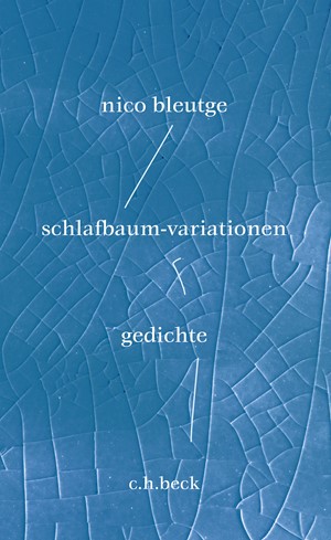 Cover: Nico Bleutge, schlafbaum-variationen