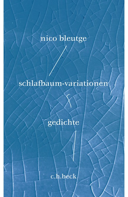 Cover: Nico Bleutge, schlafbaum-variationen