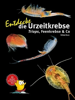 Abbildung von Kunz | Entdecke die Urzeitkrebse | 1. Auflage | 2022 | beck-shop.de