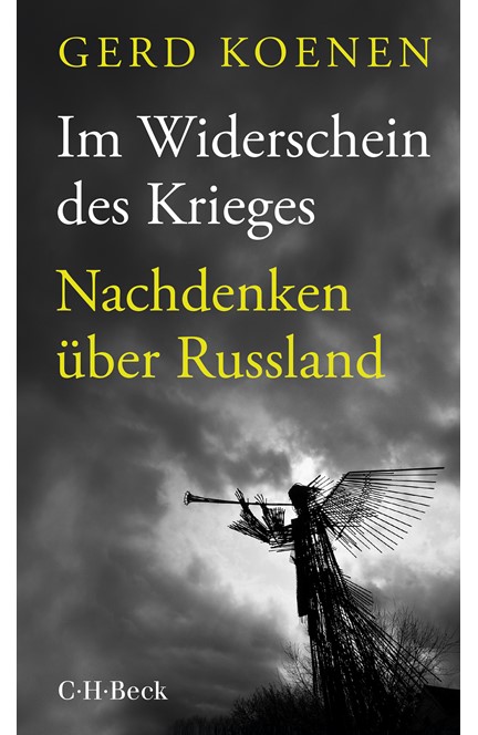 Cover: Gerd Koenen, Im Widerschein des Krieges