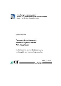 Abbildung von Blesinger | Flammenrückschlag durch verbrennungsinduziertes Wirbelaufplatzen. | 1. Auflage | 2022 | beck-shop.de