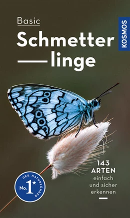 Abbildung von Dreyer | Basic Schmetterlinge | 1. Auflage | 2023 | beck-shop.de
